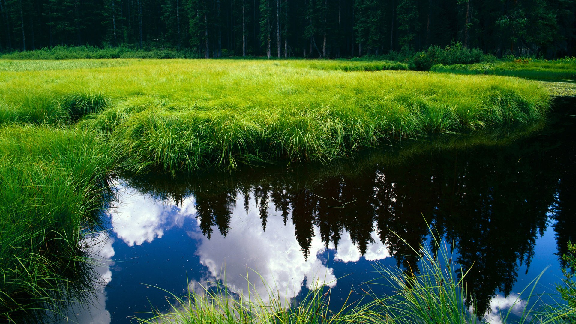 NBA最新商业合作发布,联盟收入创纪录,nba商业联盟运作模式