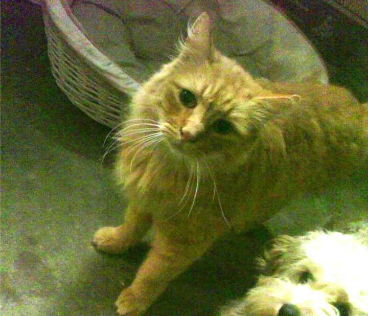 kaiyun开云·官方网站-_场馆升级：更宽敞、更智能的比赛环境_，竞赛场馆运行分区有哪些