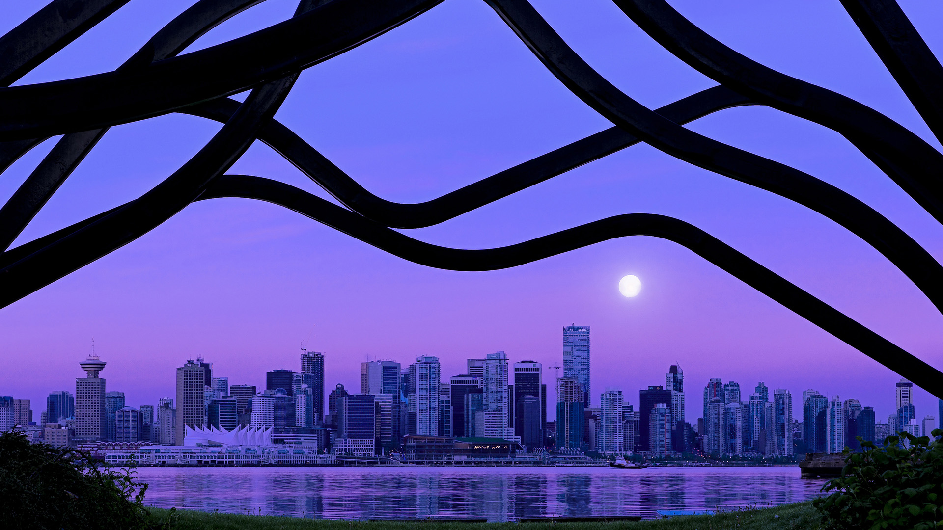 _运动员简介:从新秀到传奇的奋斗历程_,运动员介绍