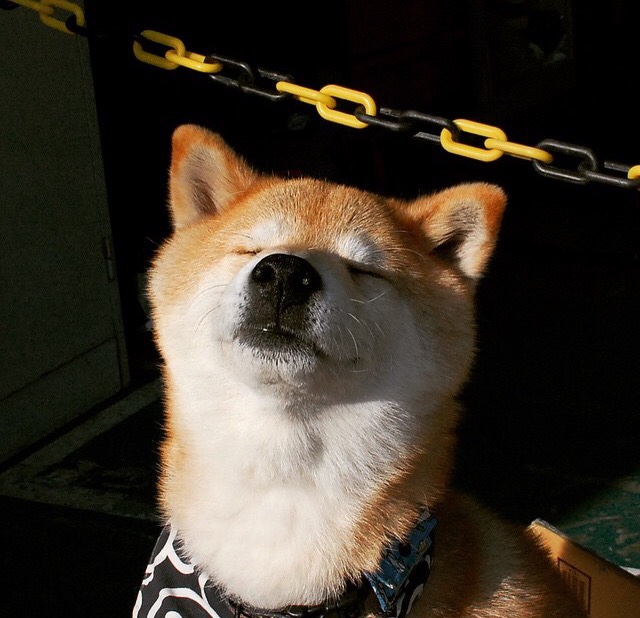 开云·Kaiyun网页版-中国足球队伍国际比赛经验持续积累，战绩逐步提升，中国国家足球队的比赛