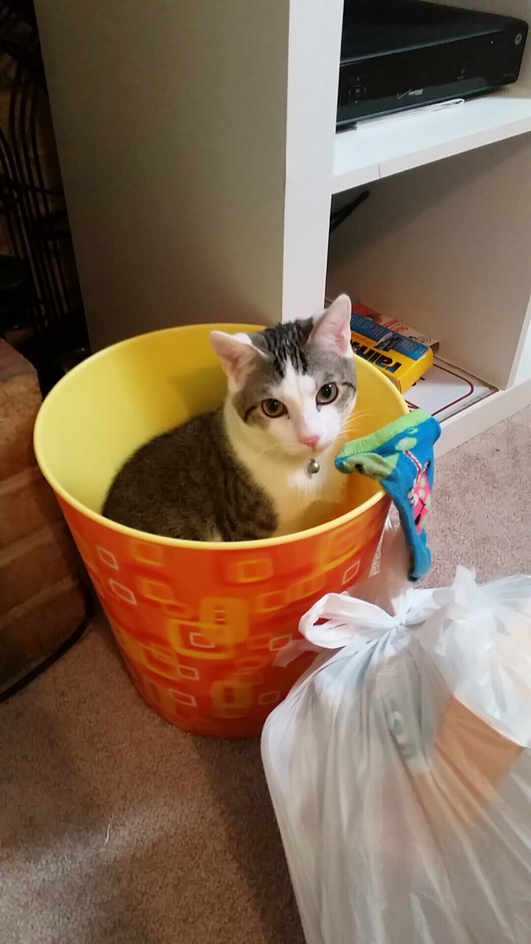 开云官网APP下载-战术革新：数据驱动的篮球新战术分析，篮球战略战术