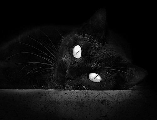 开云网页版-穿越火线 赛季积分榜争夺激烈，cf赛事积分榜