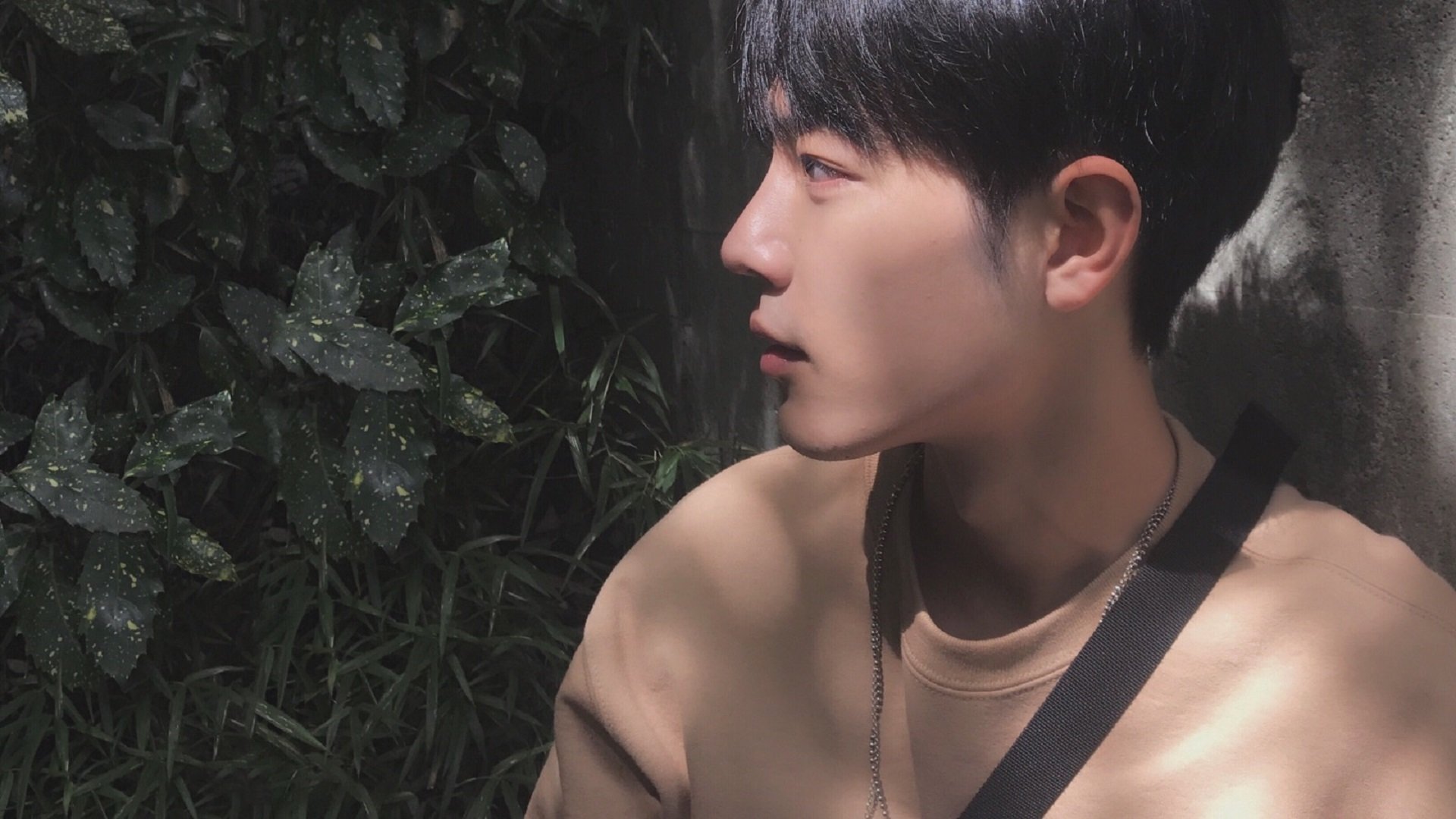 赛场追踪:每一圈背后的风云变幻,赛场逐鹿是什么意思