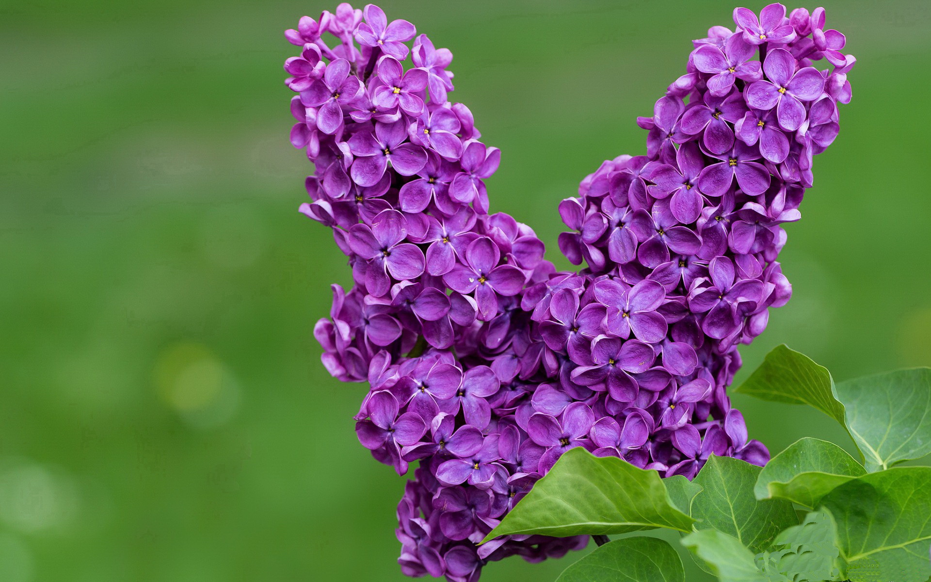 开云官网APP下载-IG战队推行全天候健康监测计划，全天候网络竞技app下载新链接