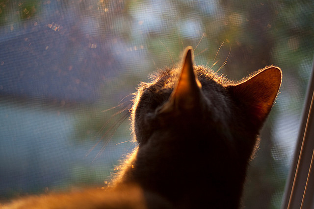 开云中国大陆-切尔西主场被热刺逆转，德比失利，切尔西3-0客胜热刺