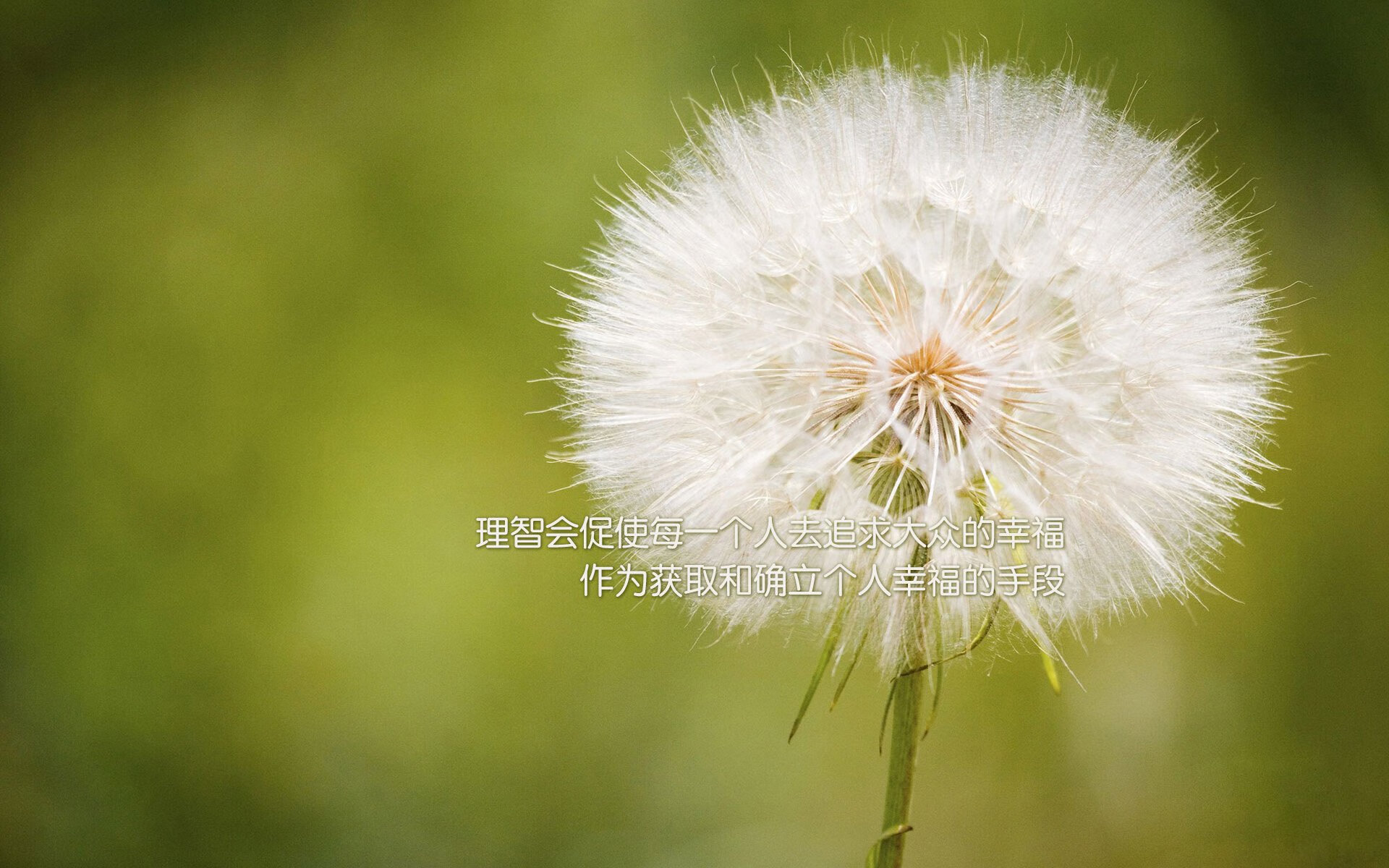 开云kaiyun-悉尼国王赛季目标明确，悉尼国王队名单