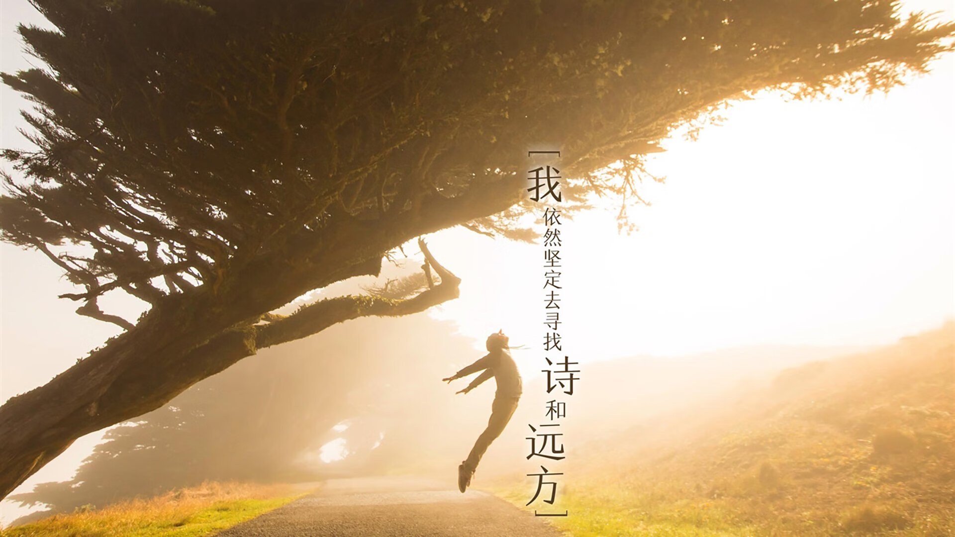 悉尼国王赛季目标明确,悉尼国王队名单