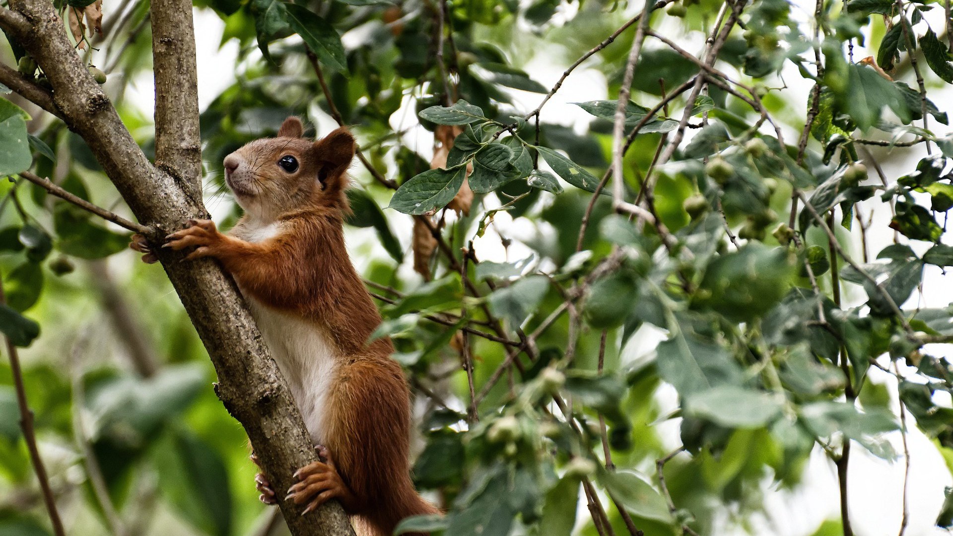 Kaiyun(中国)开云-深圳马可波罗力克上海，取得胜利，深圳马可波罗俱乐部官网