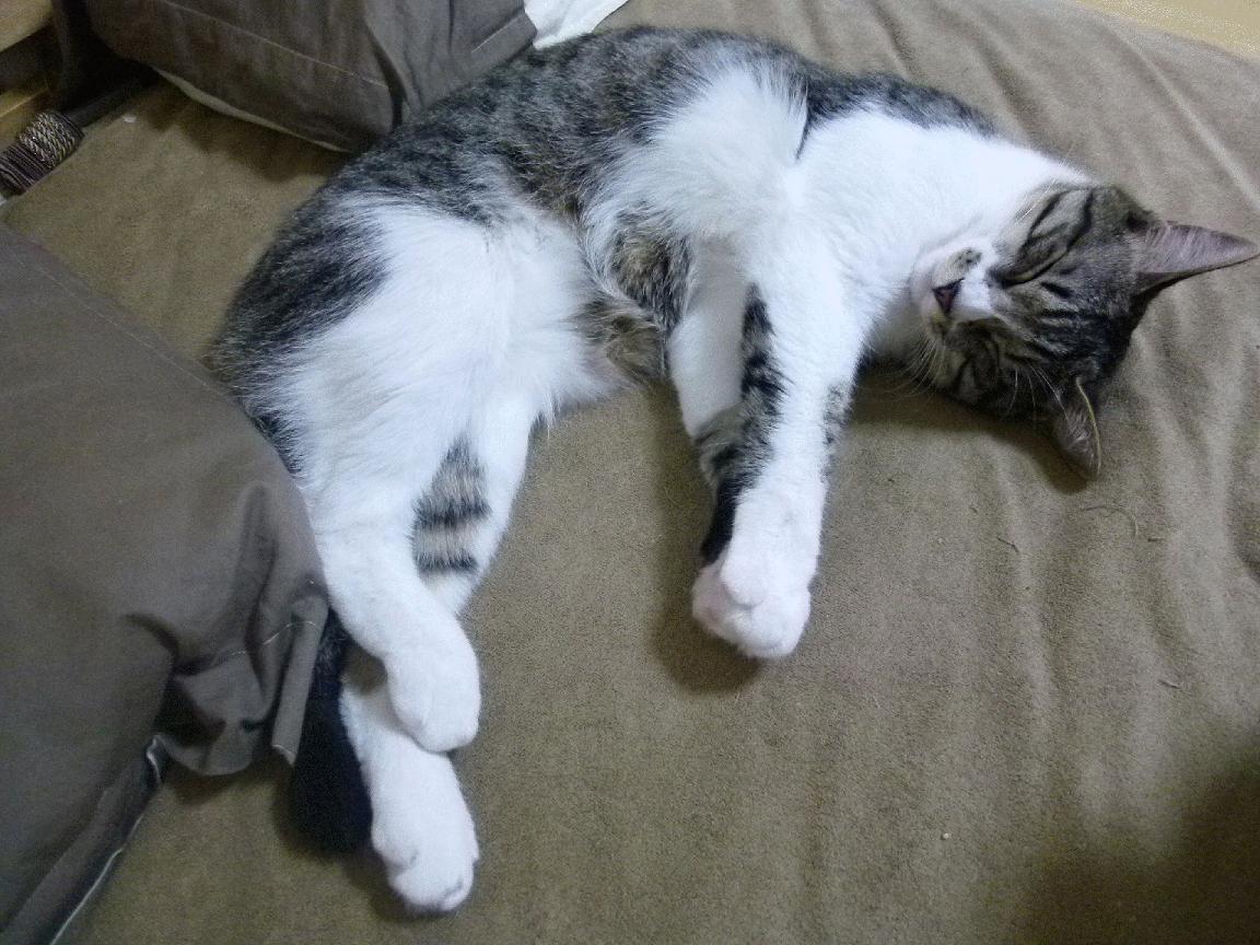 kaiyun官方网站-电竞电竞赛事智能化管理系统研发及应用效果评估，电子竞技赛事管理暂行规定