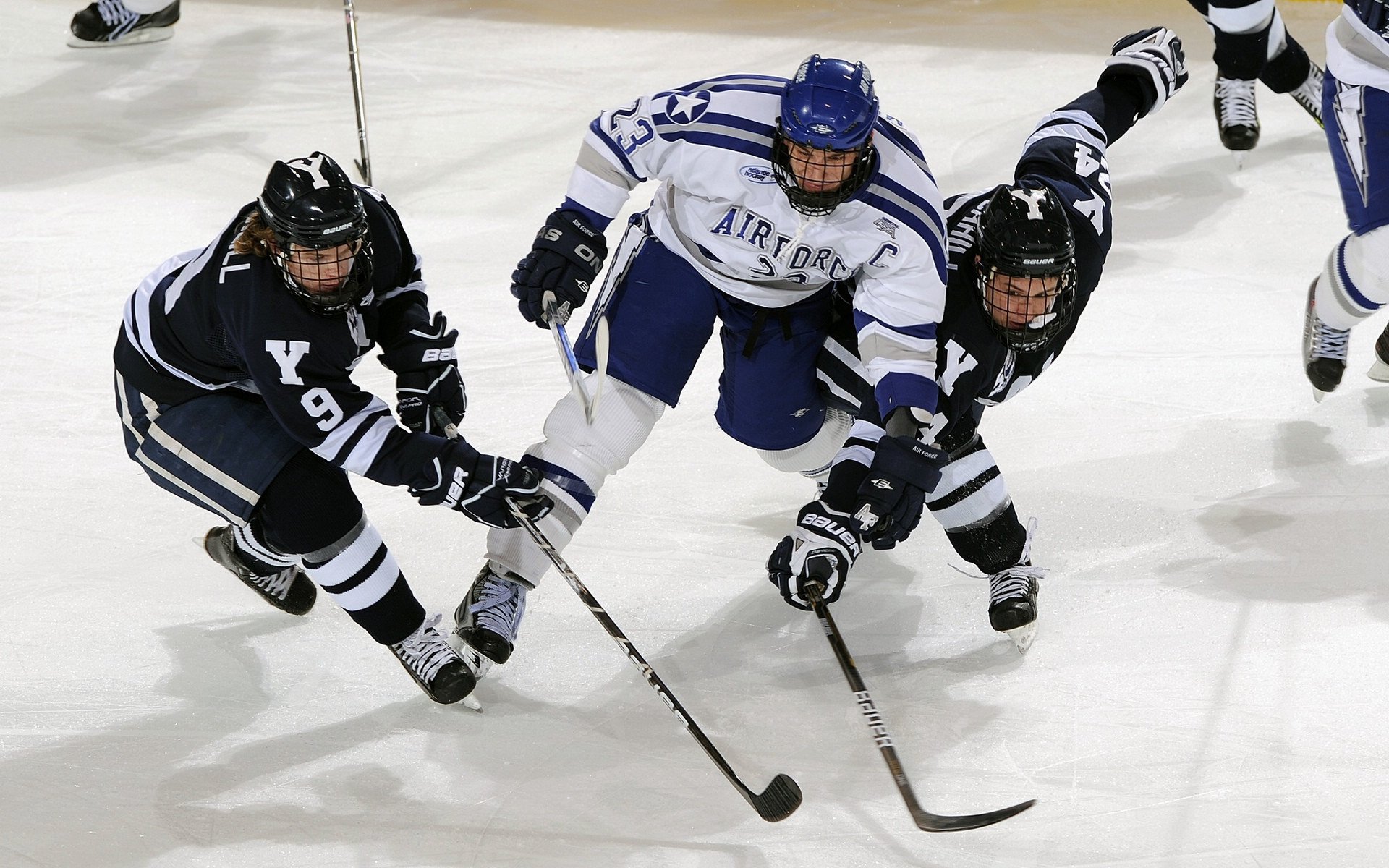 纽卡斯尔联青训新星崛起,引发球队换血风潮,纽卡斯尔联足球队