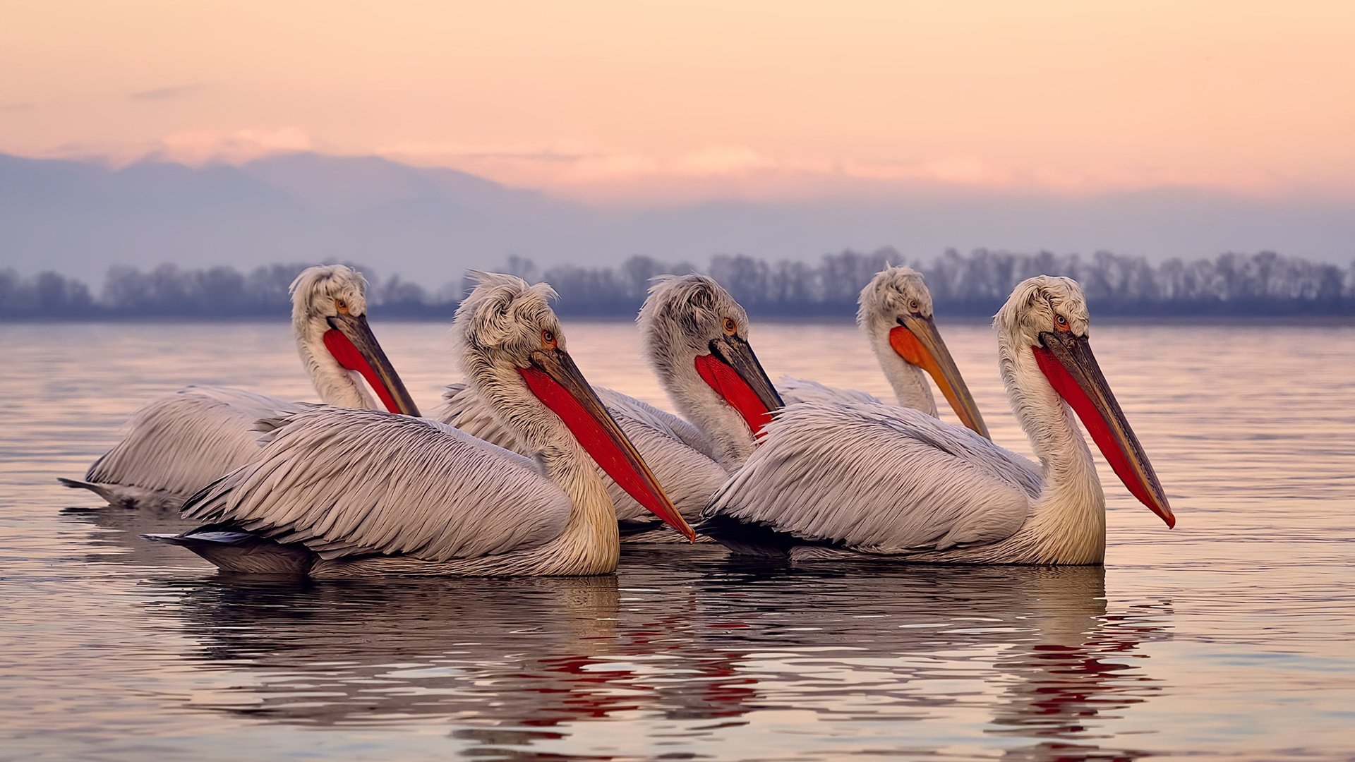 全国滑雪公开赛冬日燃情开赛,全国滑雪冠军赛