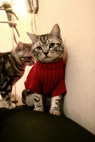 国足控场核心球员换人节点与比分关系,国足换人名额