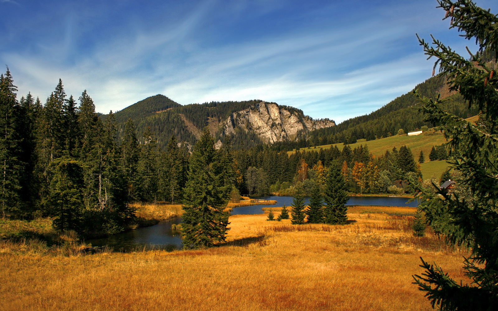 开云kaiyun-中国射击队新老交替迎战国际赛场，中国射击队最新选拔赛