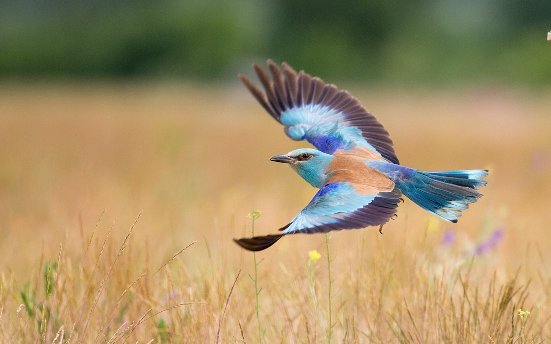 kaiyun官方入口登录-全民健身专项资金覆盖更多边远地区，全民健身政府扶持资金