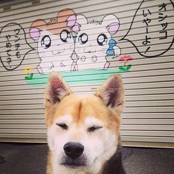 弗拉门戈中场组织者获全场最佳，弗拉门戈阵容2020