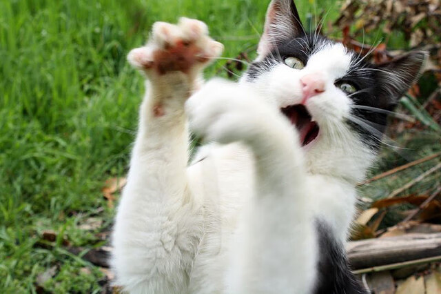 kaiyun网站-逼抢成功率提升至78%，转化效能提升，转化抢劫的条件有哪些