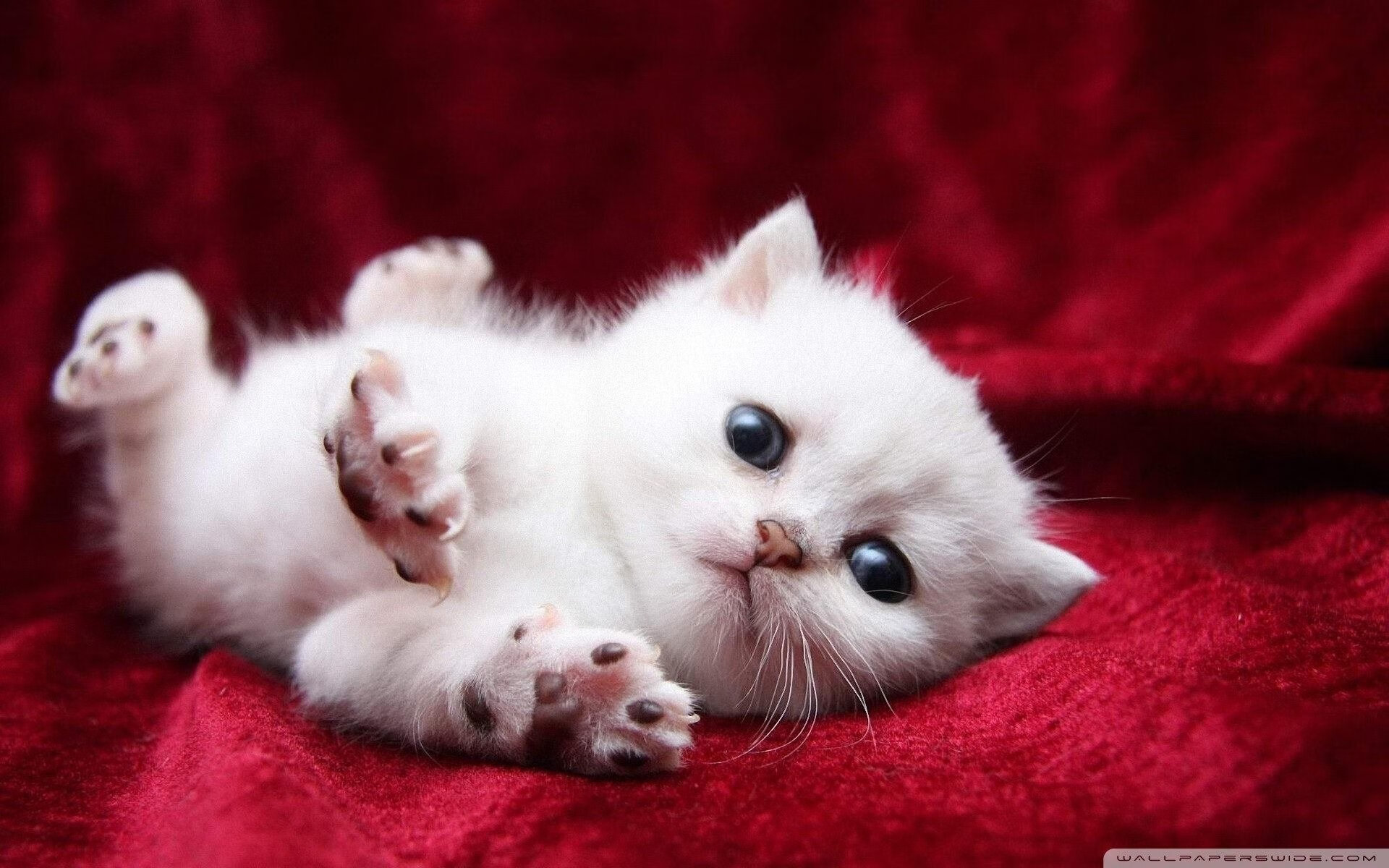 德甲最精彩瞬间：激烈对抗层出不穷，德甲身体对抗