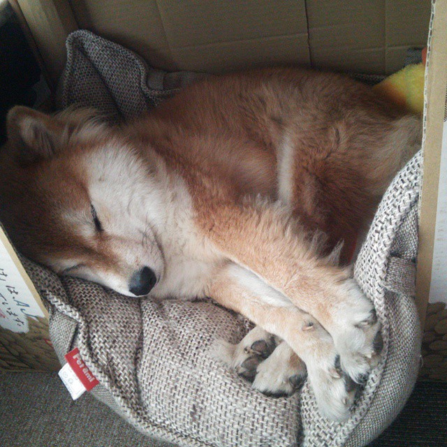 德甲策略补血:变化多端,精彩纷呈!,德甲解析