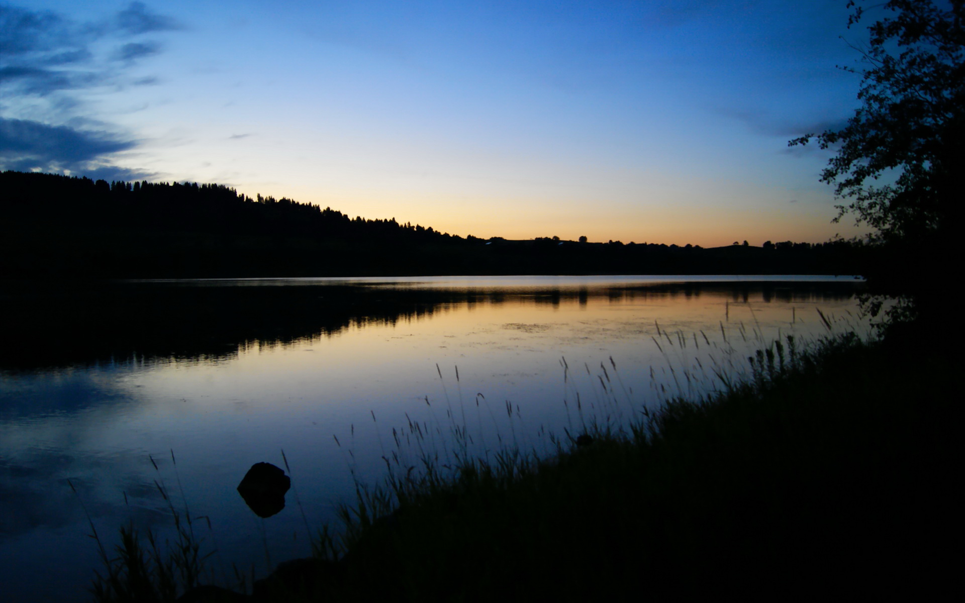 谷爱凌新赛季首战挑战更高难度,谷爱凌预赛第一