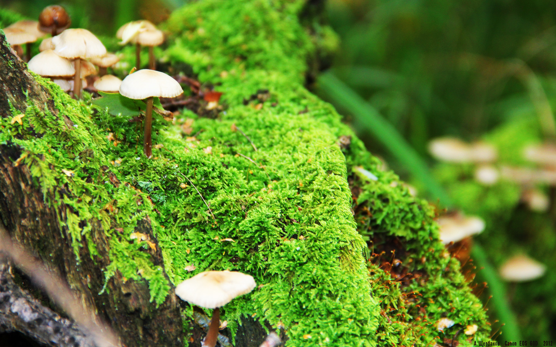 Kaiyun(中国)开云-陈佳再度晋级决赛舞台，陈佳陈佳